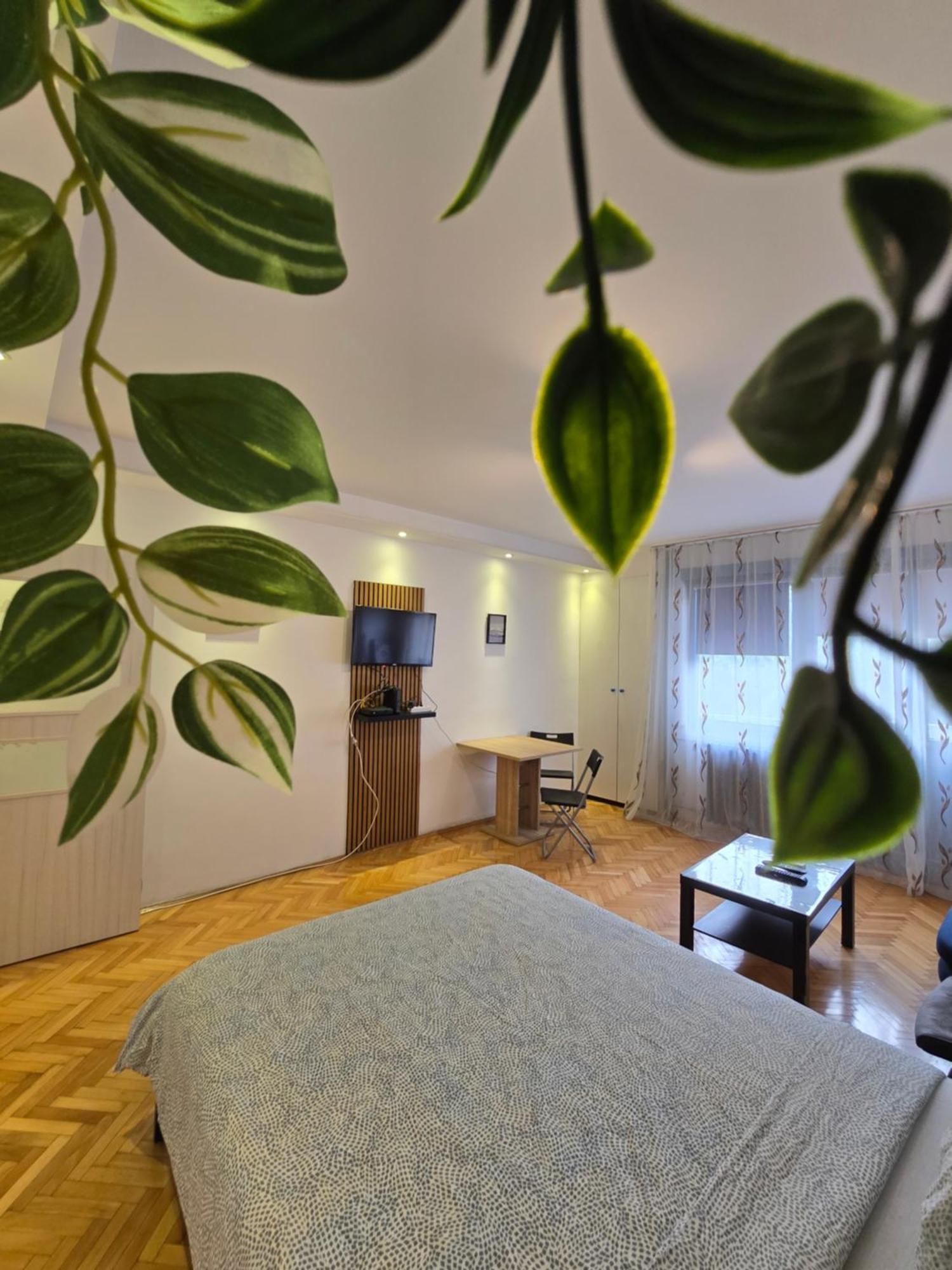 Azzurro Studio Apartment Beograd Eksteriør bilde