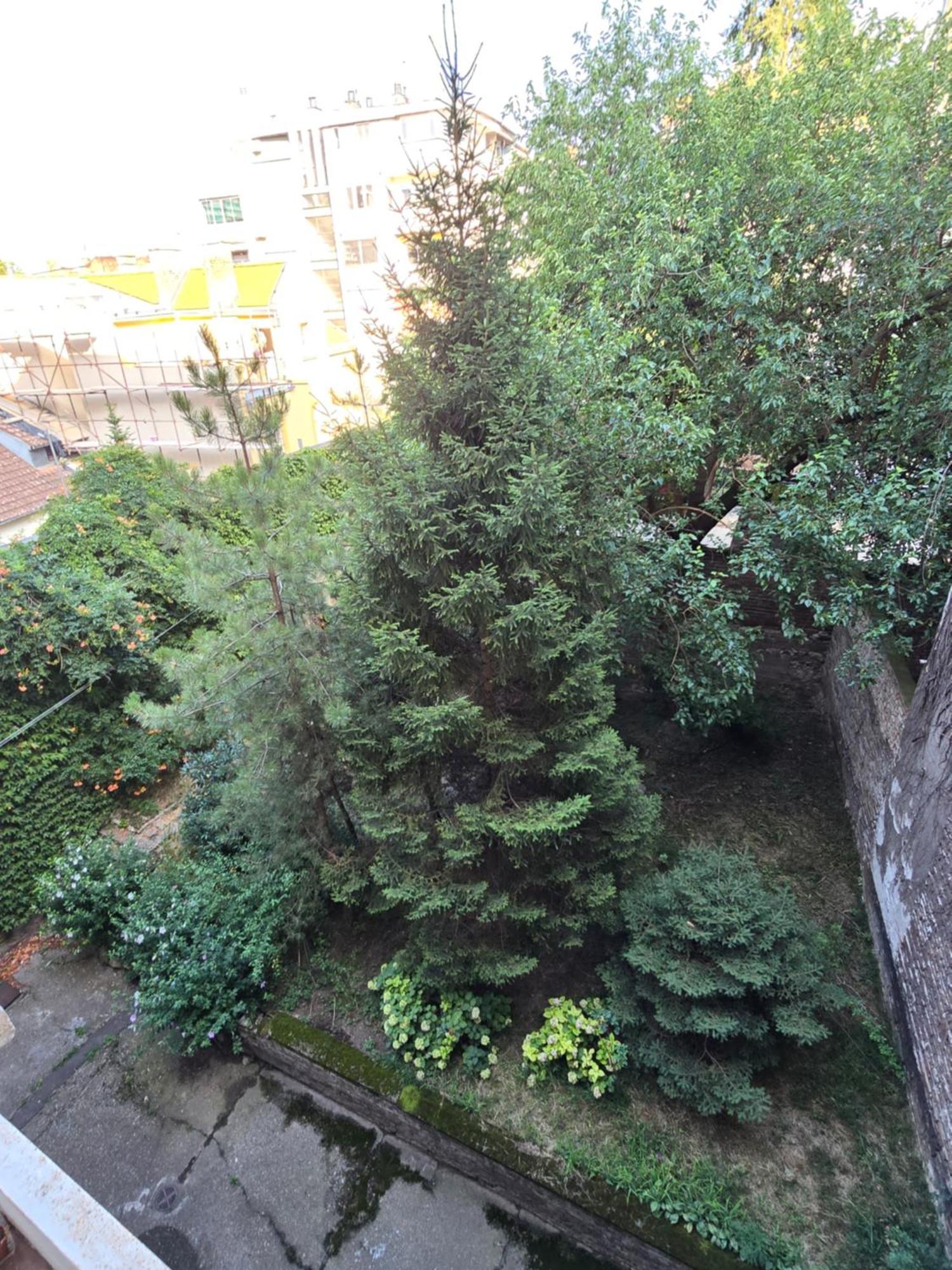 Azzurro Studio Apartment Beograd Eksteriør bilde